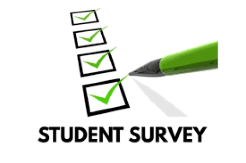 Grade 8 Surveys