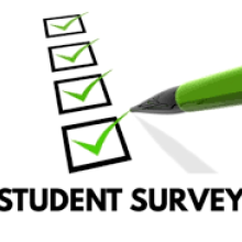 Grade 8 Surveys